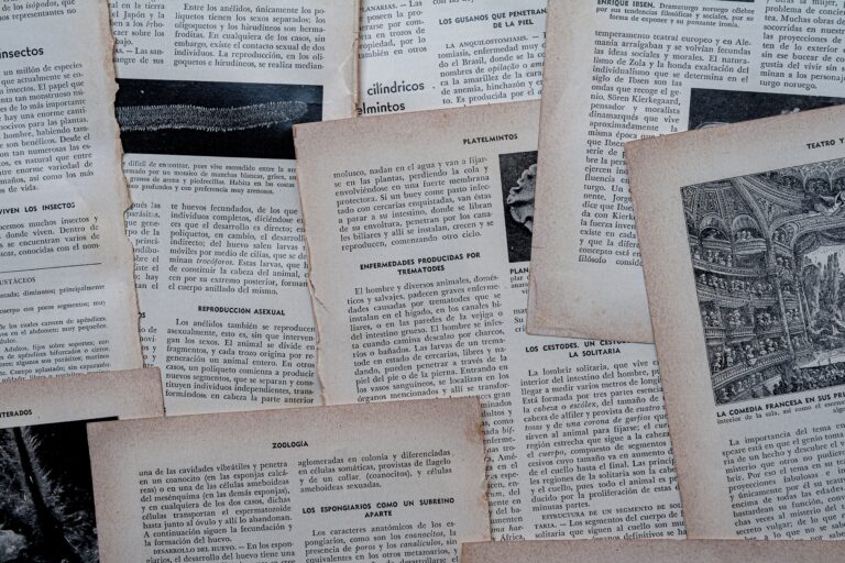 Wiele listów na zdjęciu,