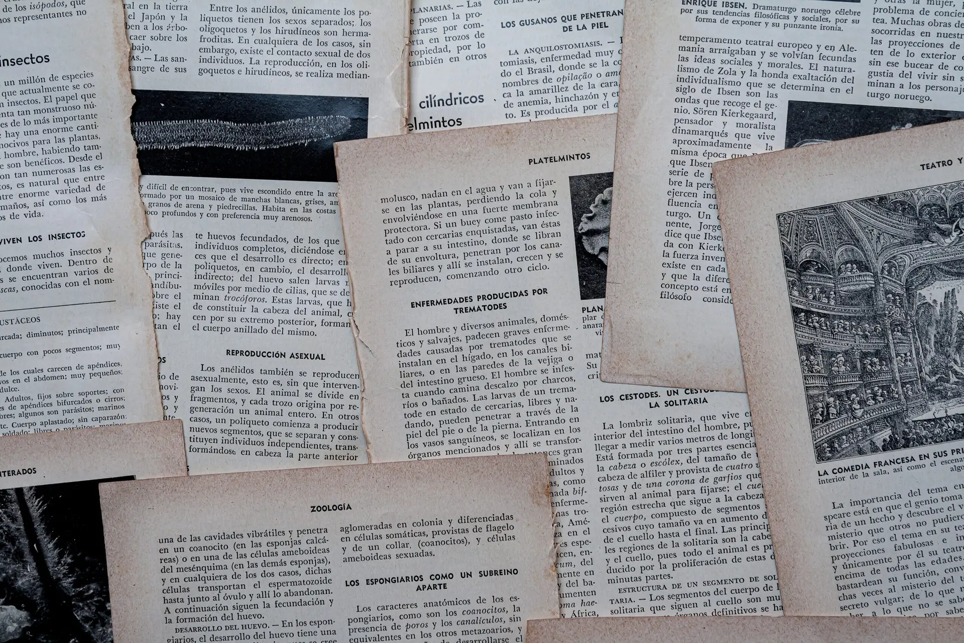 Wiele listów na zdjęciu,